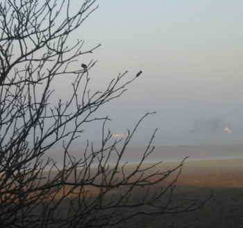 Dimma i soluppgången