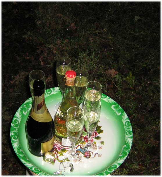 Skål för ett Gott Nytt 2007