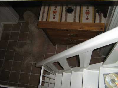 hall