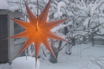  Utsikt från gästrummet mot snöig trädgård