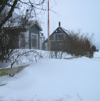Trädgård fylld med snö