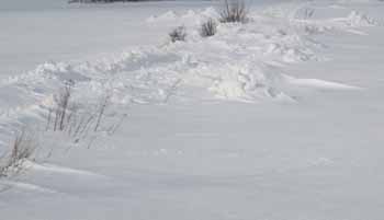 vart tog vägen vägen