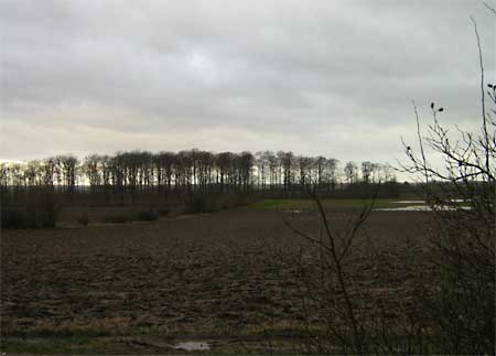 Vy från ytterdörren på eftermiddagen årets första dag
